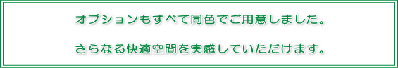 オプション