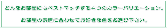 カラーバリエーション